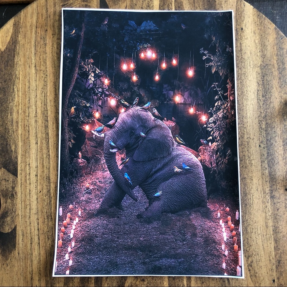 Elephant Canvas Art Print